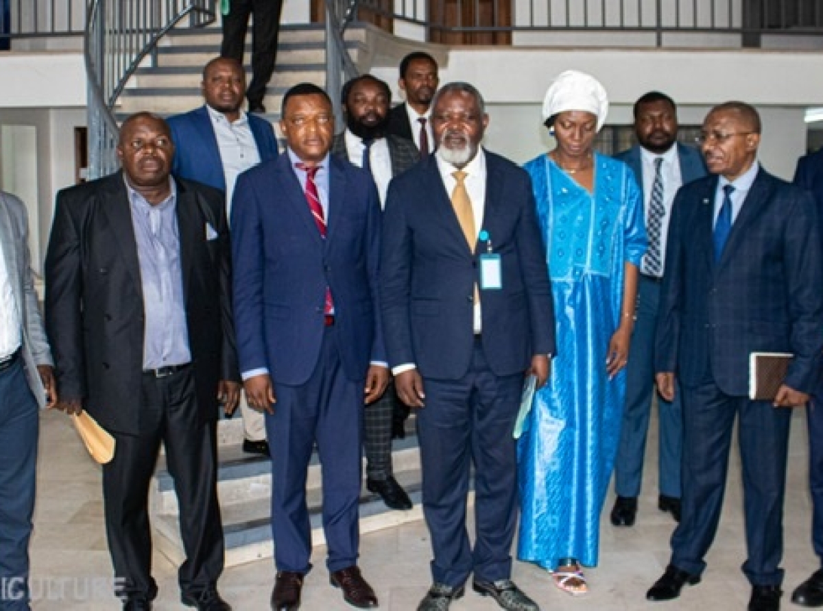 RDC/ JUSTICE : LA DÉLÉGATION DU G31 REÇUE PAR LE CONSEILLER PRINCIPAL DU CHEF DE L'ÉTAT EN CHARGE DU PROCESSUS ÉLECTORAL.