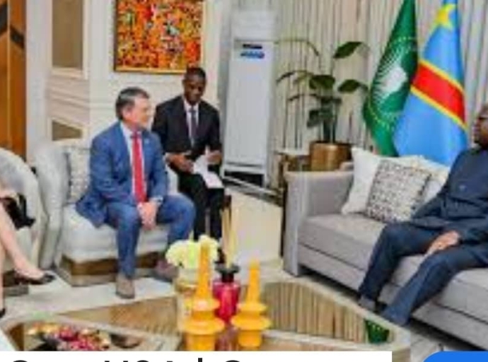 RDC : FAUSSE QUALITÉ ATTRIBUEE AU SÉNATEUR AMÉRICAIN R. JACKSON. QUI SANCTIONNER?