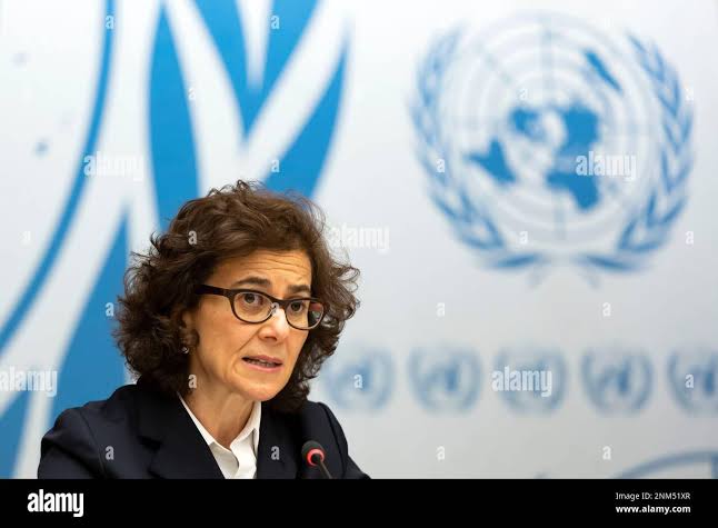 Crise en RDC : un appel urgent lancé sur les violations des droits humains