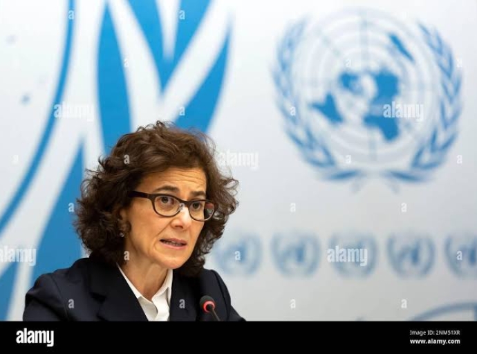 Crise en RDC : un appel urgent lancé sur les violations des droits humains